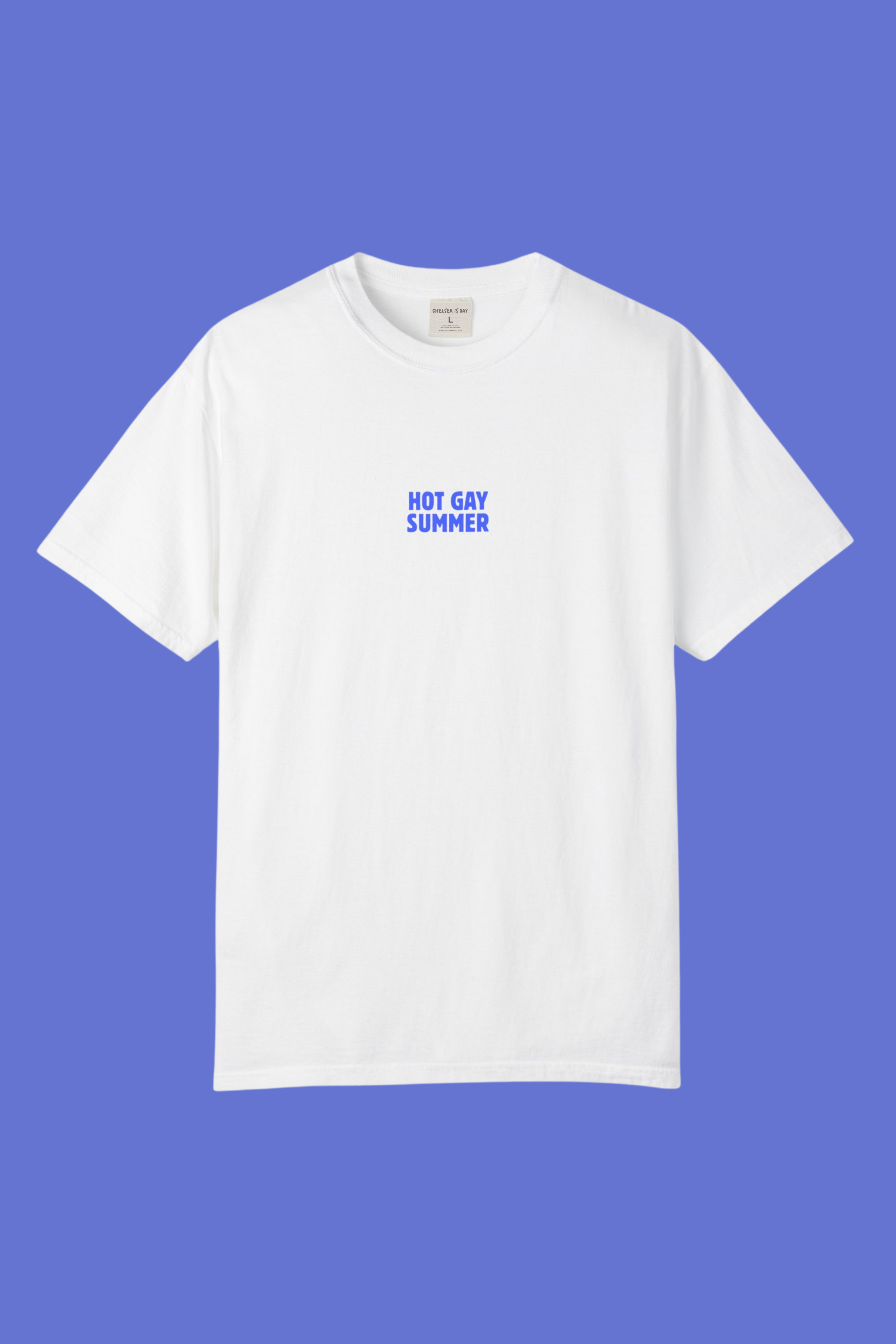 Hot Gay Summer Boxy Tee