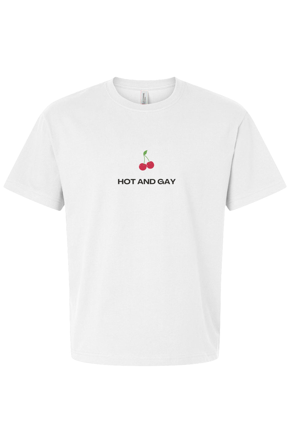 Hot & Gay Cherries Boxy Tee