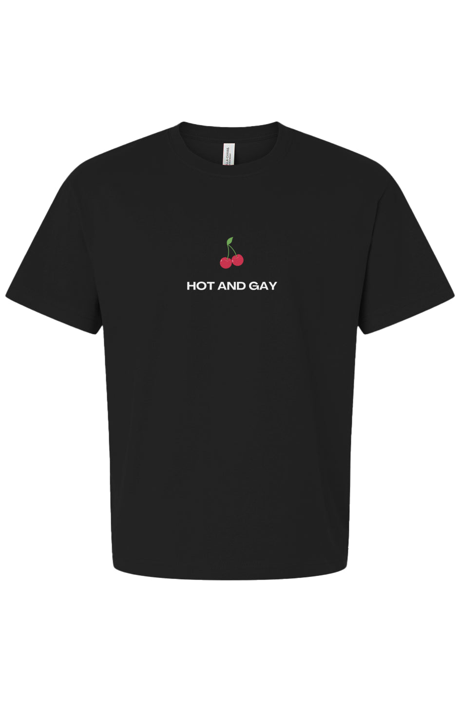 Hot & Gay Cherries Boxy Tee