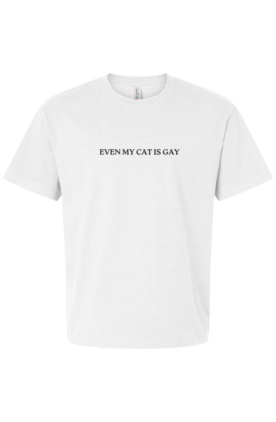 Even My Cat is Gay Boxy Tee