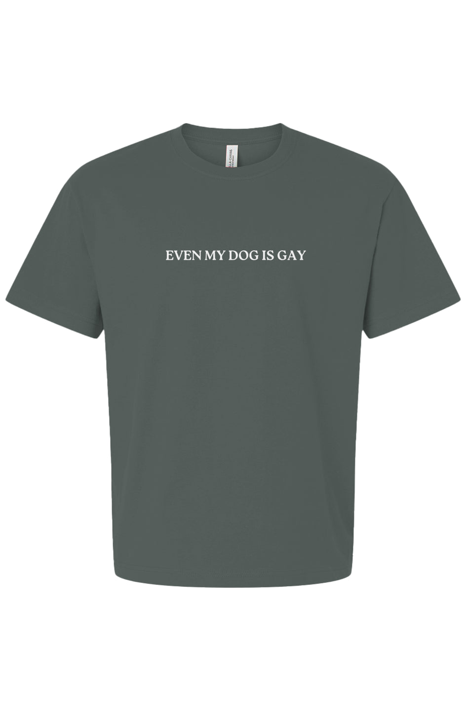 Even My Dog is Gay Boxy Tee