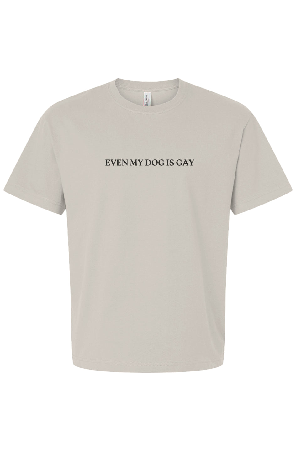 Even My Dog is Gay Boxy Tee