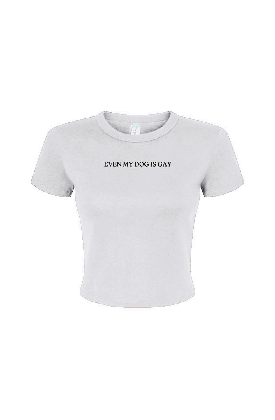 Even My Dog is Gay Baby Tee